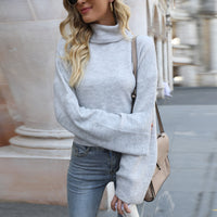 Casual Long Sleeved Pullover Sweater